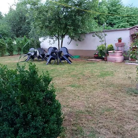 Holiday Zaulica Doglodi