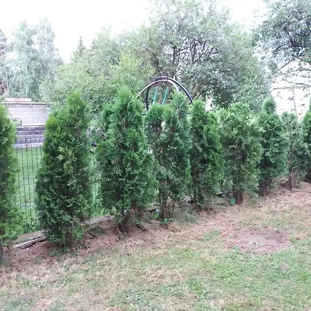 Holiday Zaulica Doglodi